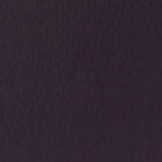 Spirit Millennium Concord