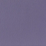 Spirit Millennium Crocus