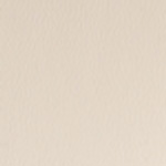 Spirit Millennium Froth