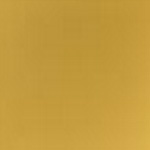 Spirit Millennium Goldenrod