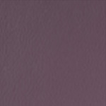 Spirit Millennium Grape