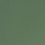 Spirit Millennium Northwoods