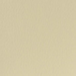 Spirit Millennium Parchment