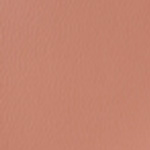 Spirit Millennium Rose