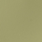 Spirit Millennium Sage