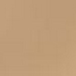 Spirit Millennium Shell