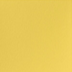 Spirit Millennium Sun Yellow