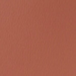 Spirit Millennium Sunset