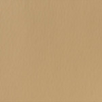 Spirit Millennium Vicuna