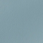 Spirit Millennium Wedgewood