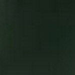 Spirit Millennium Yew Green