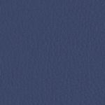 Supersoft Blue Print