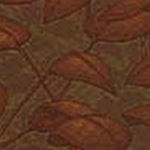 Absecon Tom's Garden Grade 3