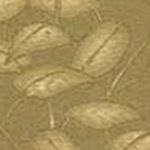 Toms Garden SageMist